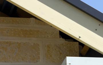 soffit repair Chapel Plaister