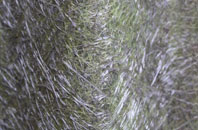 Chapel Plaister fibreglass roof work